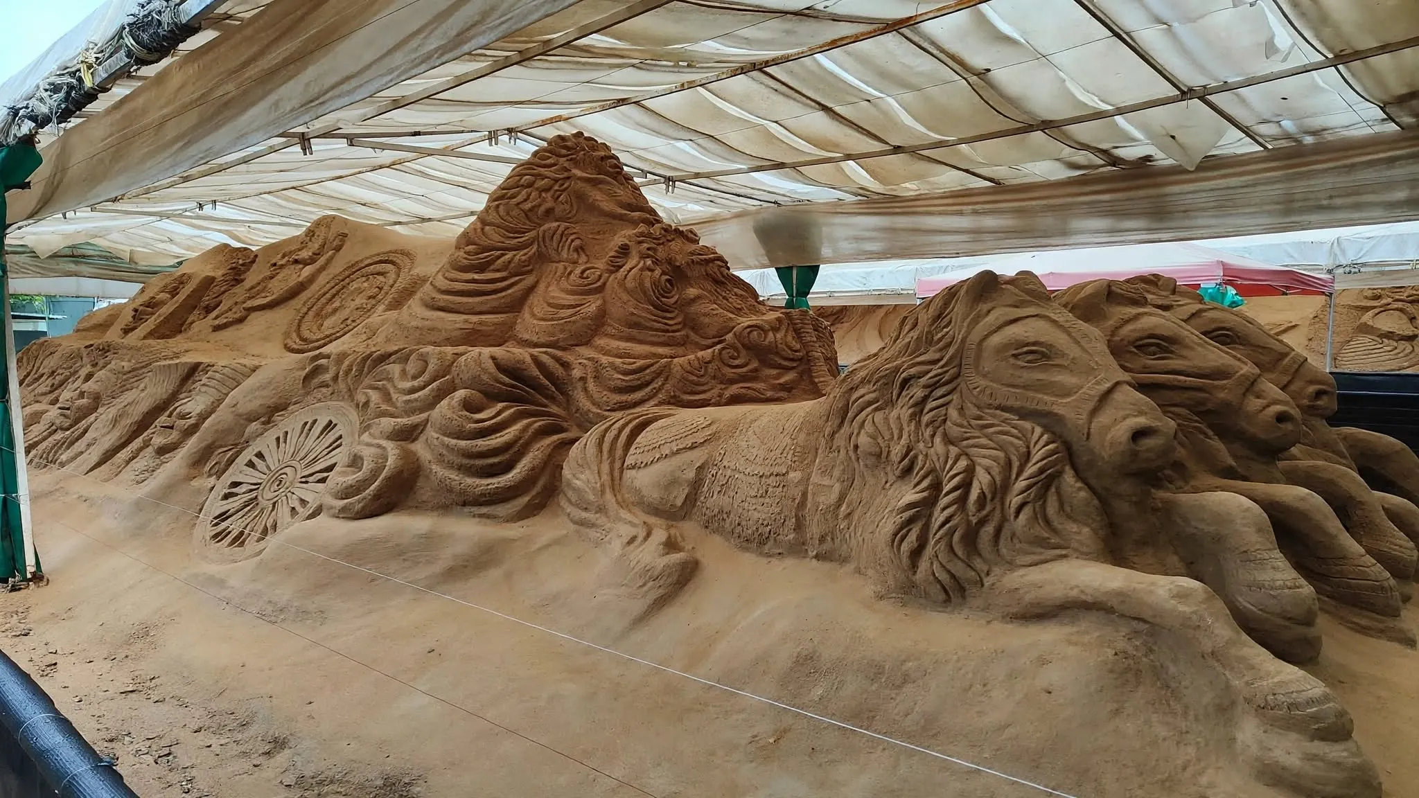 sand museum horses